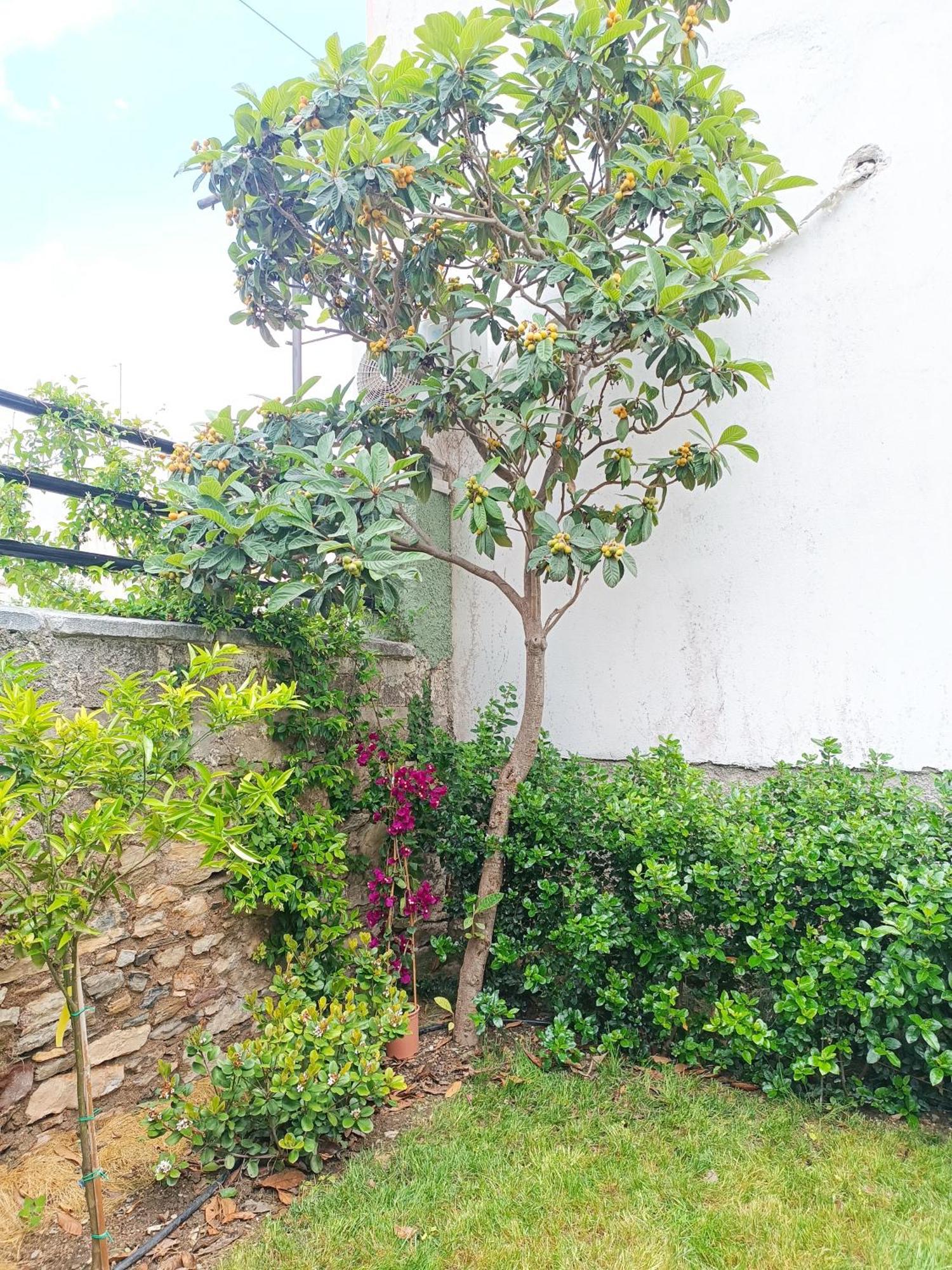 Вилла Betty'S Garden House Неа-Анхиалос Номер фото