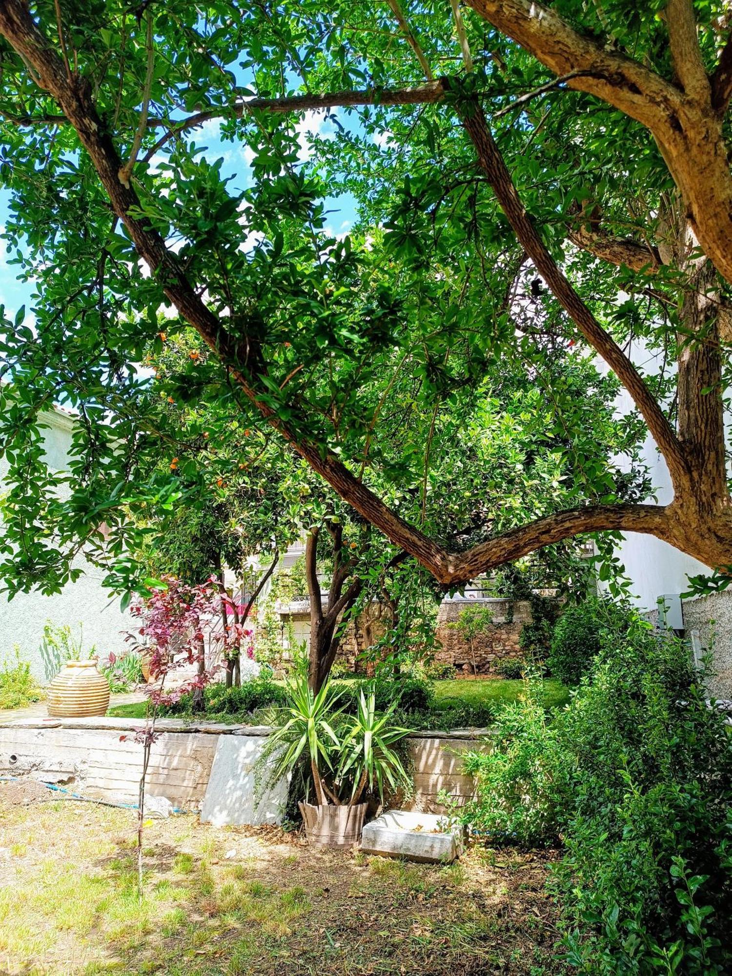Вилла Betty'S Garden House Неа-Анхиалос Номер фото